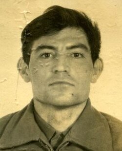 Василь Стус