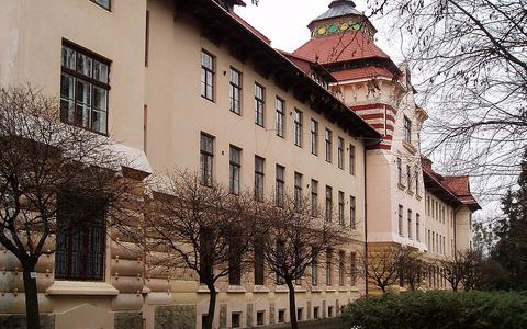Національний лісотехнічний університет України